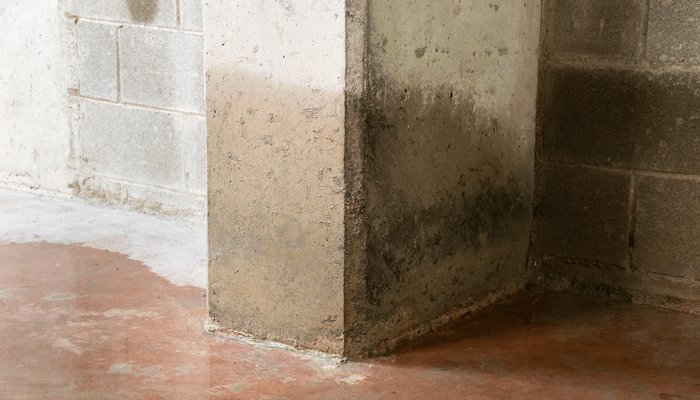 Wet Basement in Toronto? The Best Waterproofing Solutions
