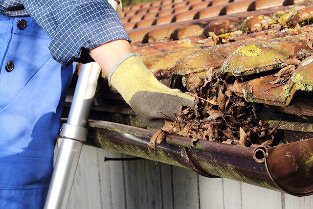 Cleaning Rain Gutter