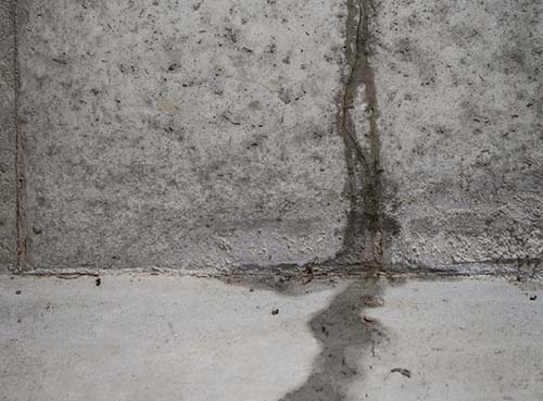 Reliable Basement Leak Repair Toronto Leaky Basement Toronto   Basement Leaks Wall Crack Vertical 