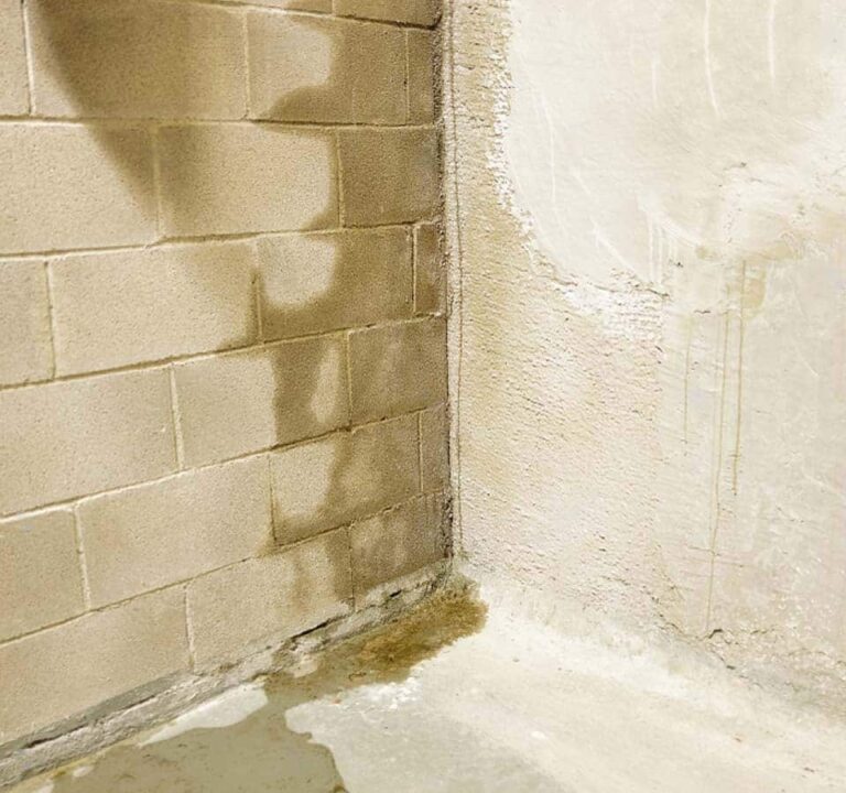 Wet Basement Solutions